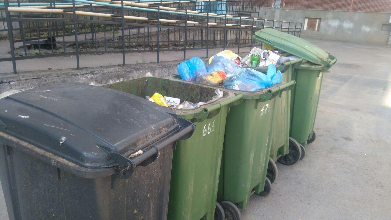 ТКО составляют ровно треть от всех отходов в Псковской области